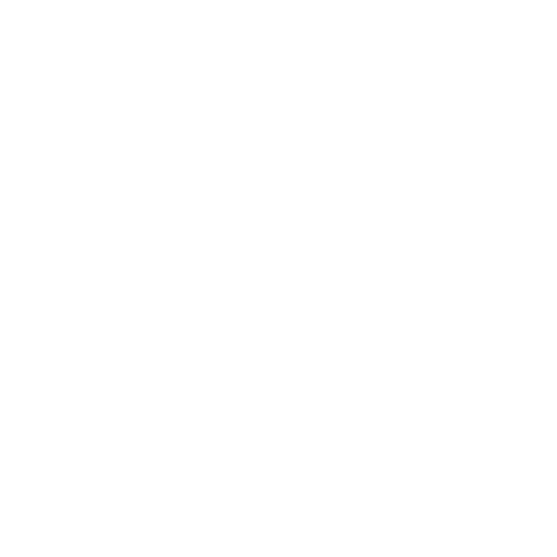 Phone Call Icon